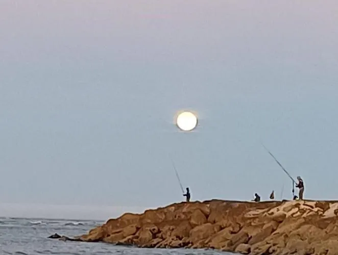 Lejlighed Caparica Near