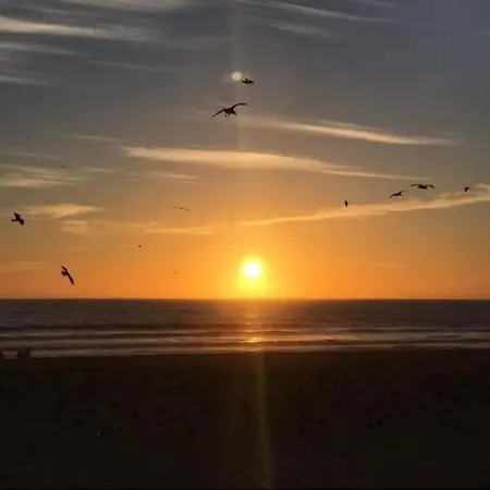 Caparica Near Daire *