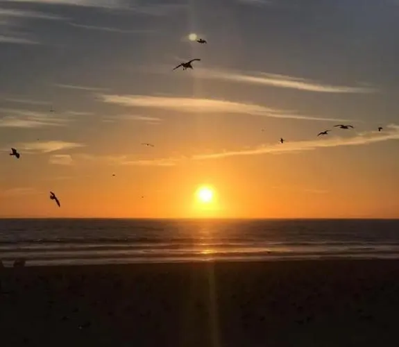 Caparica Near Διαμέρισμα *